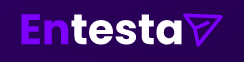 Entesta Web Solutions Pvt Ltd